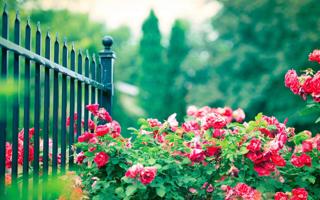 ***比赛实况 一起来捉妖摸鱼在哪 位置分布及获得详解，一起来捉抓妖